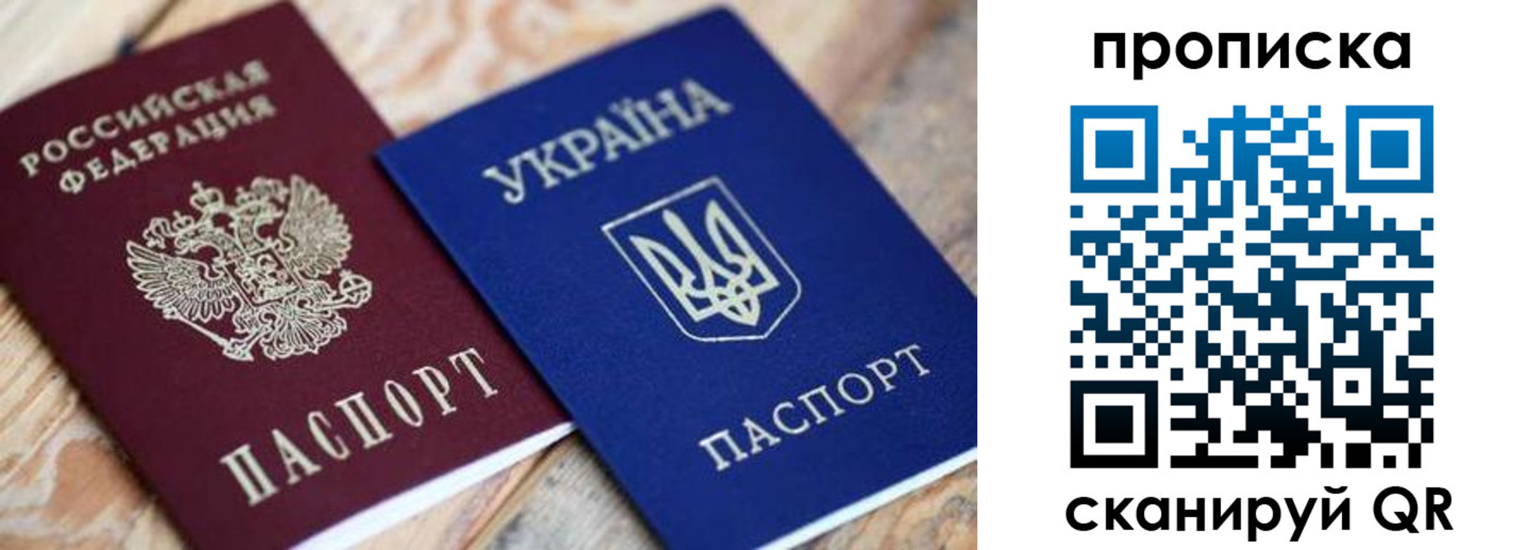 прописка поиск в Борзе